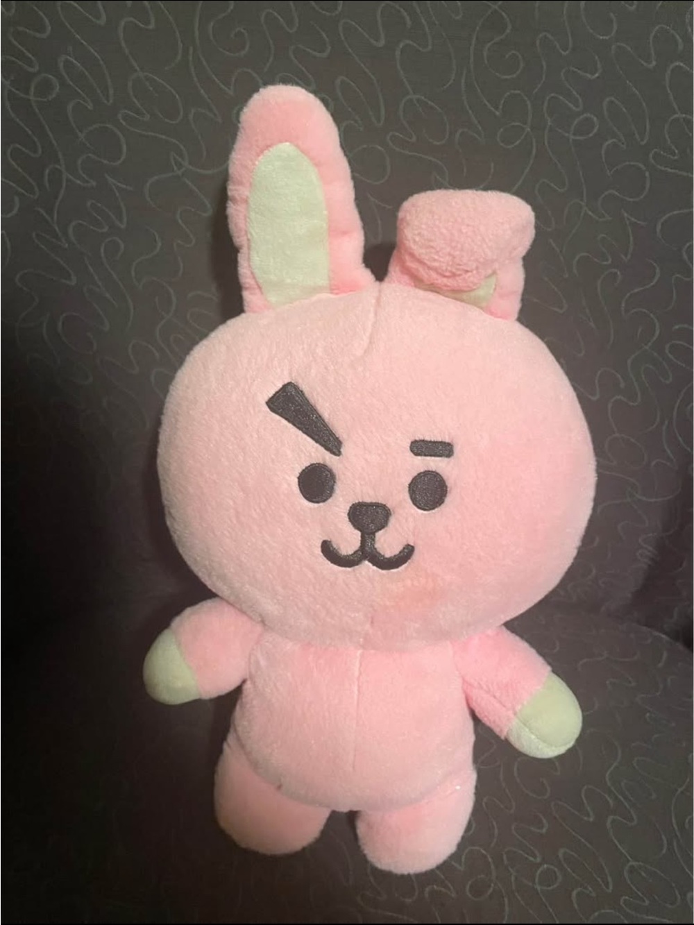 BT21 cooky Plush